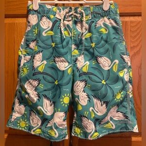 GAP Kids Surf Teal and Yellow Pelican Swim Shorts Size M(8)